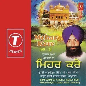 Mehar Kare image