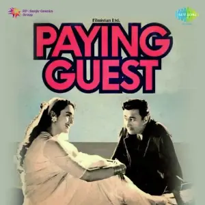 Paying Guest image