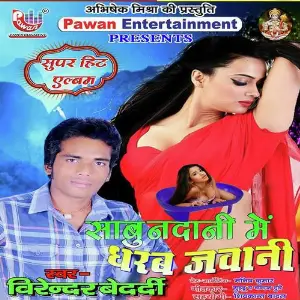 Sabundani Me Dharab Jawani image