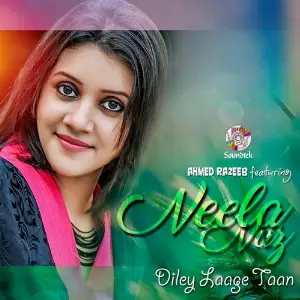 Diley Laage Taan image