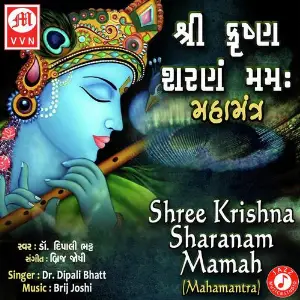 Om Namo Bhagvate Vasudevay Dipali Bhatt
