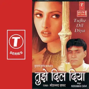 Tujhe Dil Diya image