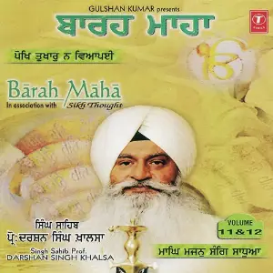 Barah Maan (Vol. 11) image
