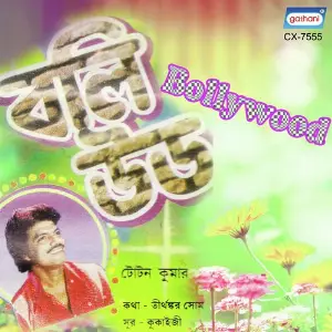 Bollywood image