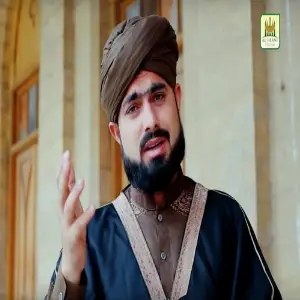 Pukaro Ya Ali Haider image