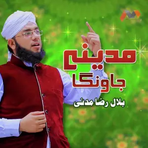 Madine Jaunga image