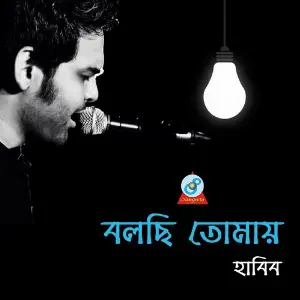 Bolchi Tomay image