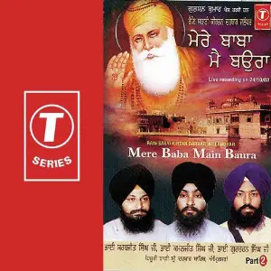 Mere Baba Main Baura (Part 2) image