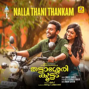 Nalla Thani Thankam (From Thattassery Koottam) image