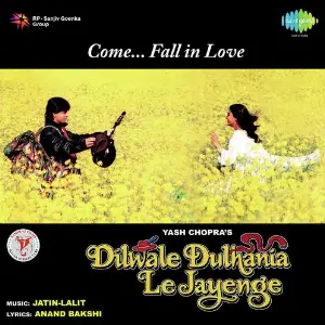 Dilwale Dulhania Le Jayenge image
