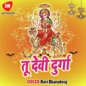 Tu Devi Durga image