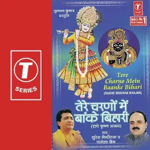 Tere Charno Mein Baanke Bihari image