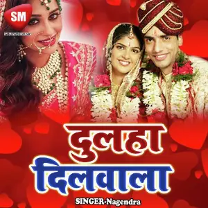 Dulha Dilwala image