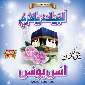 Labbaik Ya Haram image