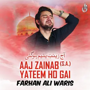 Aaj Zainab Yateem Ho Gai - Single image