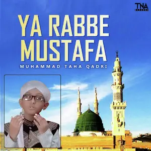 Muhammad Aagaye Muhammad Taha Qadri
