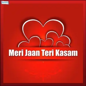 Meri Jaan Teri Kasam image