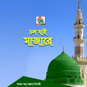 Chol Jai Majare image