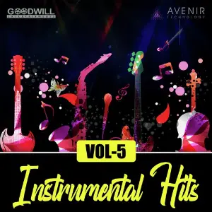 Instrumental Hits Vol. 5 image