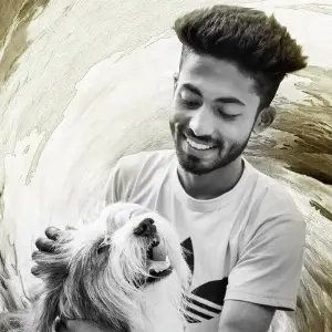 Arman Alif image