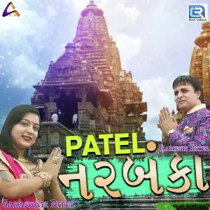 Patel Narbanka image