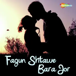 Fagun Shtawe Bara Jor image
