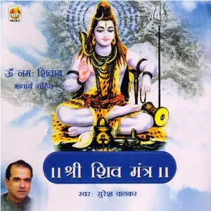 Shri Shiv Mantra image