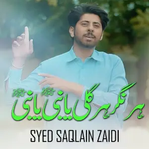 Har Nagar Har Gali Ya Nabi Ya Nabi image