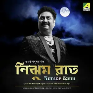 Nijhum Raat image