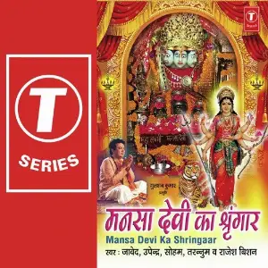 Mansa Devi Ka Shringar image