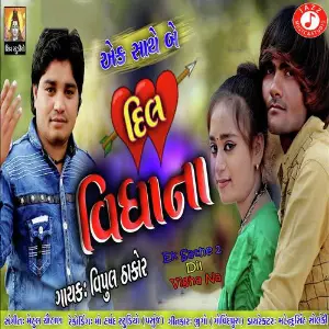 Ek Sathe 2 Dil Vigha Na image