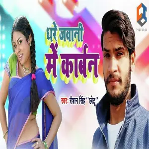 Dhare Jawani Me Karben image