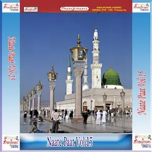 Naate Paat, Vol. 15 image