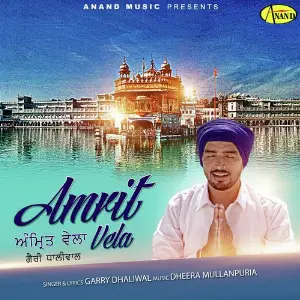 Amrit Vela image