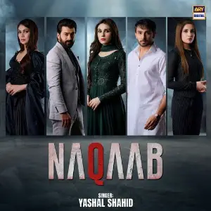 Naqaab image