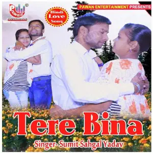 Tere Bina image