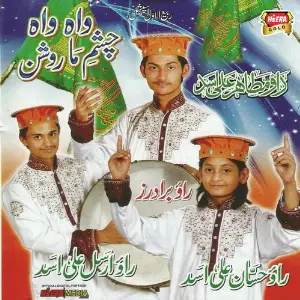 Dar E Nabi image