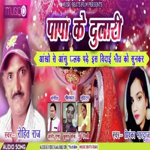 Papa Ke Dulari image