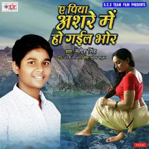 Ae Piya Ashare Me Ho Gail Bhor image