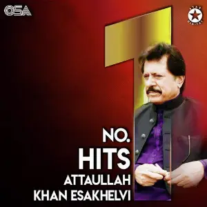 No. 1 Hits image