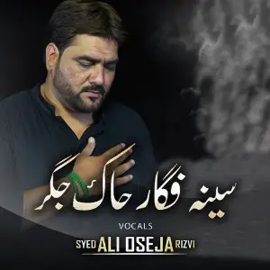Seena Fagar Chaak Jigar - Single image
