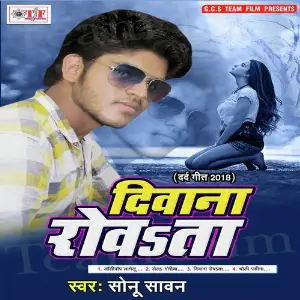 Diwana Rowata image