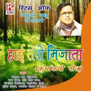 Hai Tero Mijata - Hits of Gopal Babu Goswami image