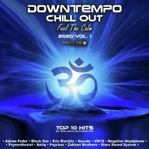 Downtempo Chill Out Feel The Calm 2020 Top 10 Hits by GoaDoc  DoctorSpook, Vol. 1 image