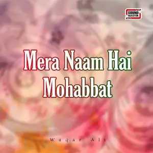 Mera Naam Hai Mohabbat image