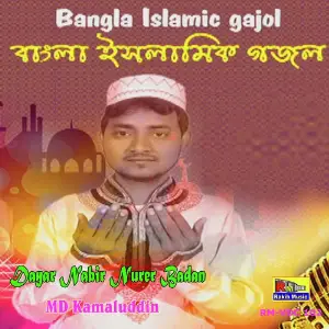 Dayar Nabir Nurer Badan image