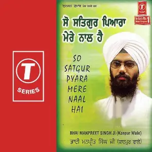 So Satgur Pyara Mere Naal Hai image