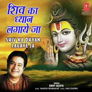 Shiv Ka Dhyan Lagaye Ja image