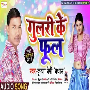Gulari Ke Phool image