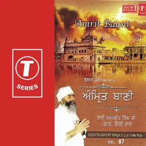 Amrit Baani (Vol. 87) image